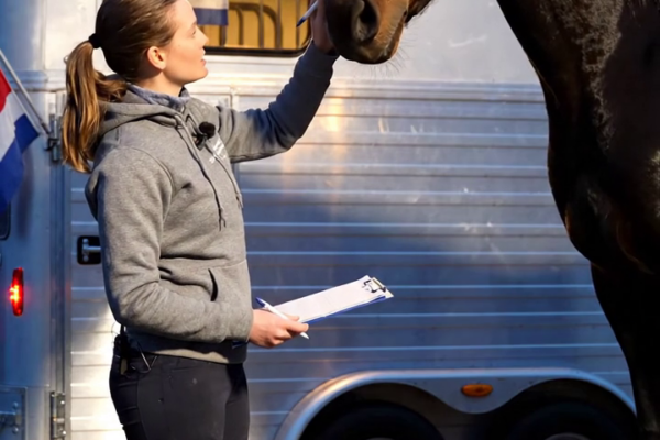 Een kampioenspaard van $ 200.000 werd door een ‘fout’ afgeleverd bij een kleine, vervallen boerderij… en een rustige jongen veranderde alles. – Nieuws
